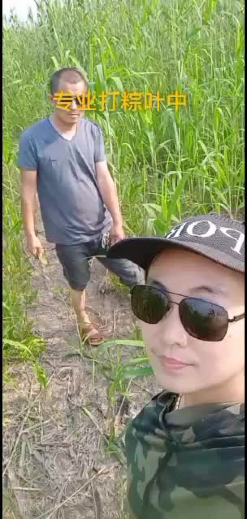 粽叶