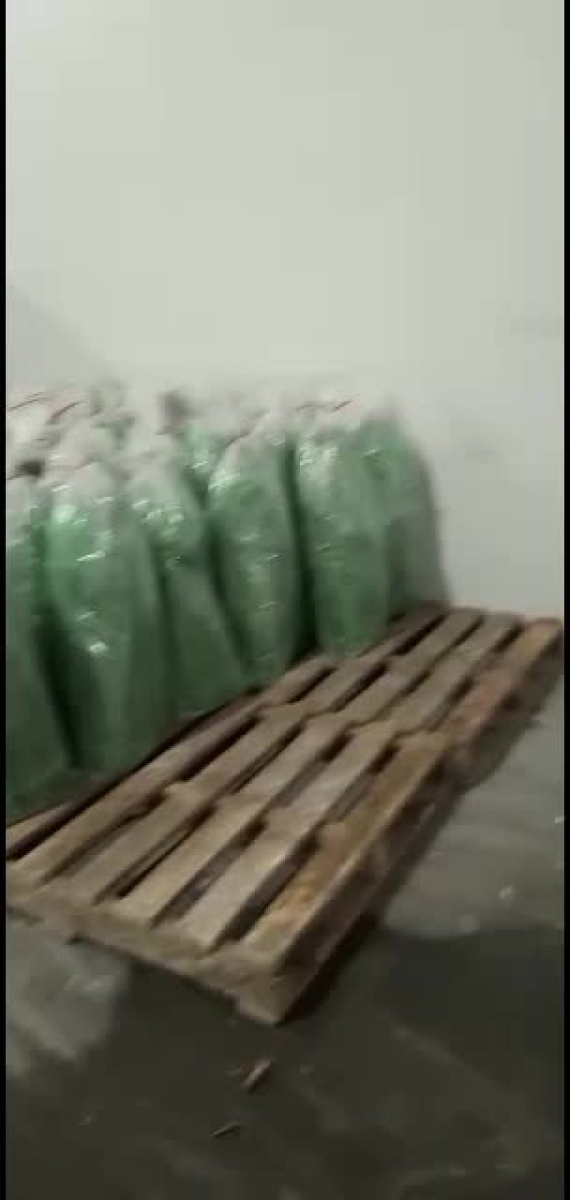粽叶