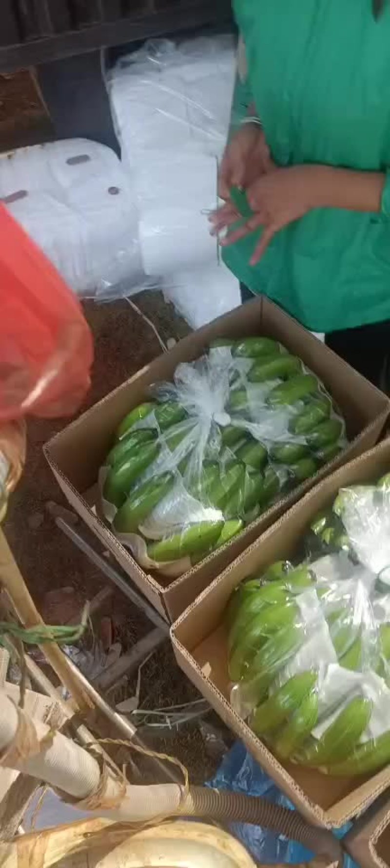 香蕉