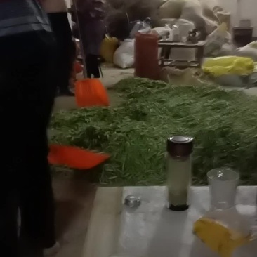 豌豆荚