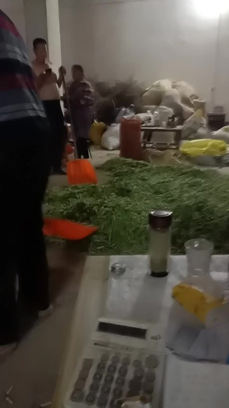 豌豆荚