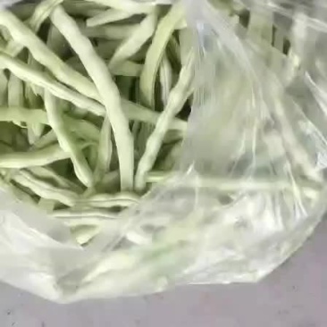 山东高密精品芸豆大量上市