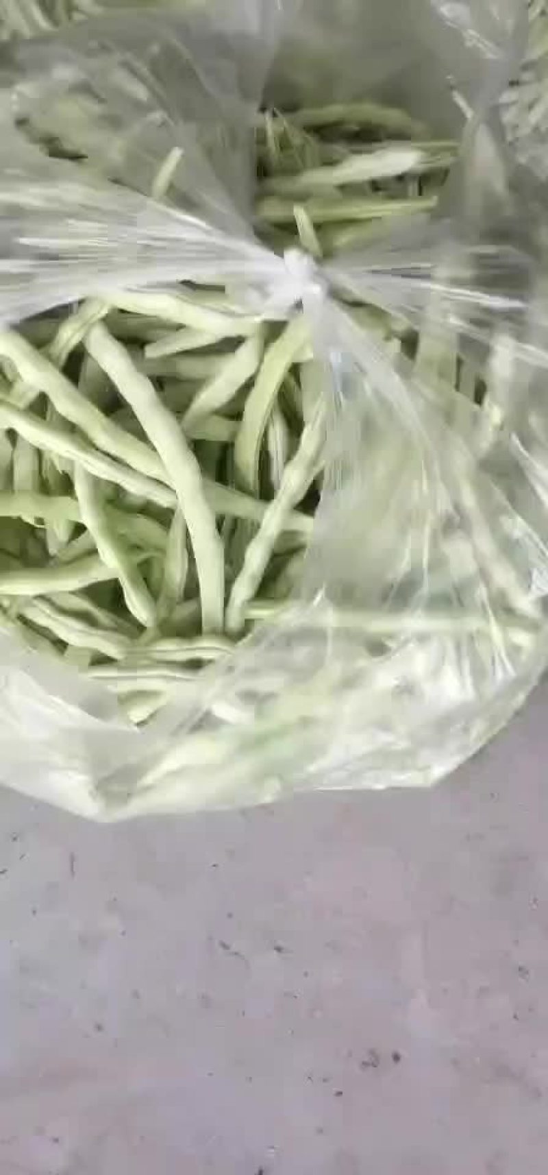 山东高密精品芸豆大量上市