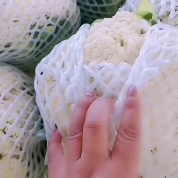 松花