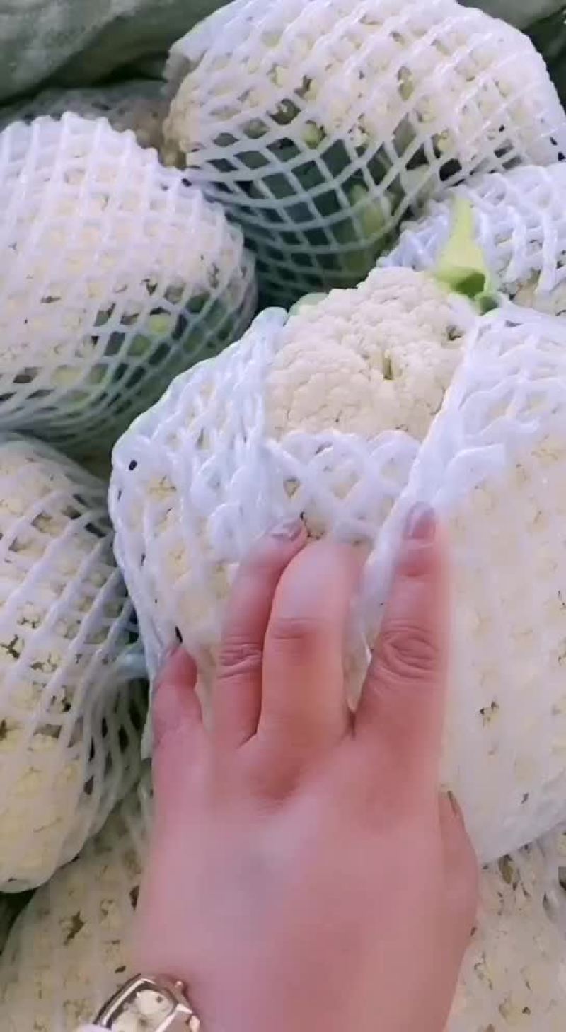 松花