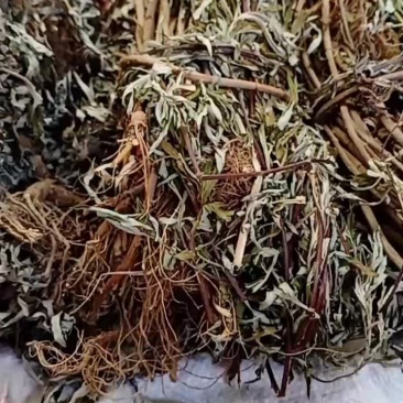 艾草，永安本地深山小把艾草(全棵)