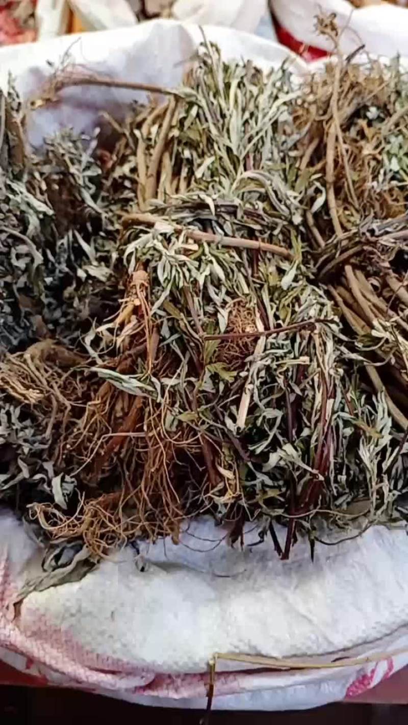 艾草，永安本地深山小把艾草(全棵)