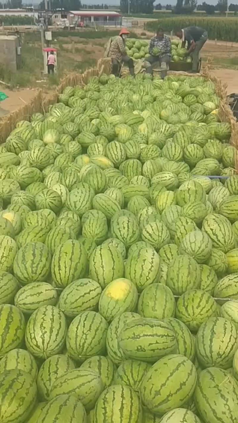 内蒙古西瓜大量上市代发全国，个头小甜度高，专业代办代发