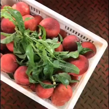 突围