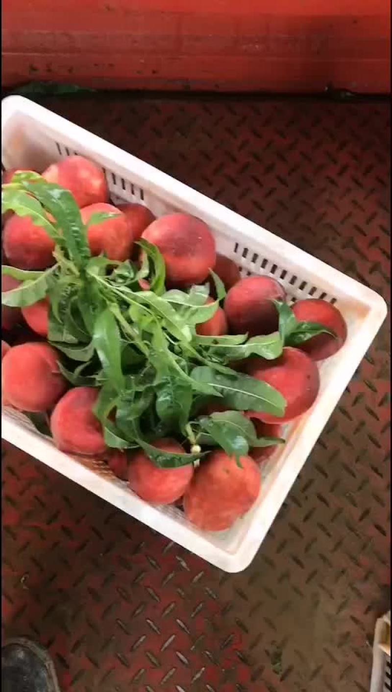 突围