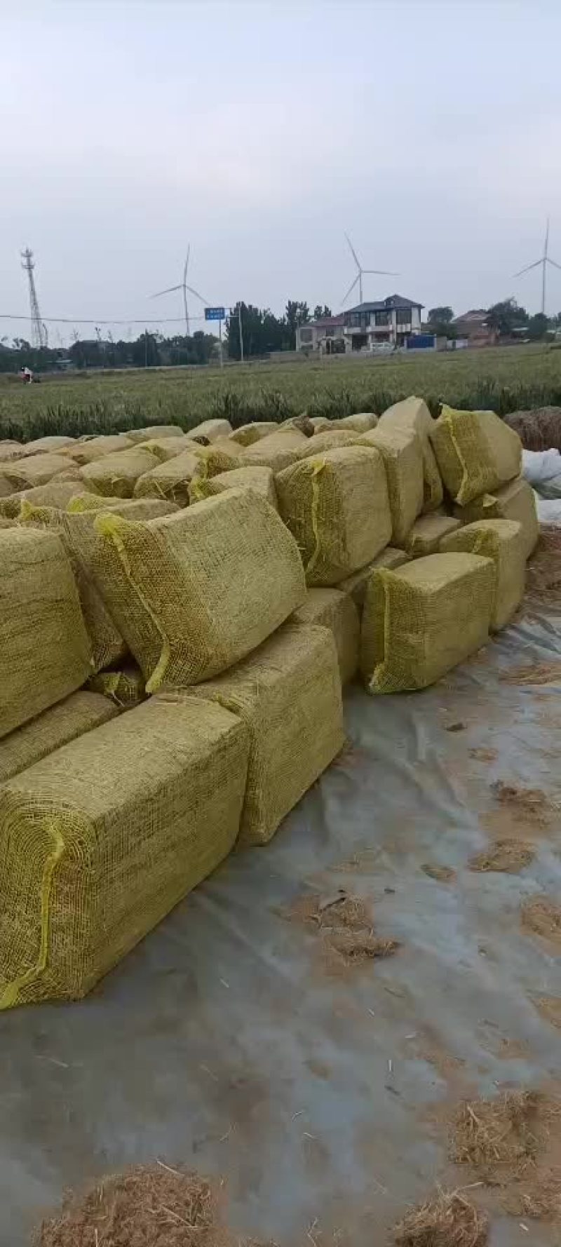 柔丝，扎段，稻草。
