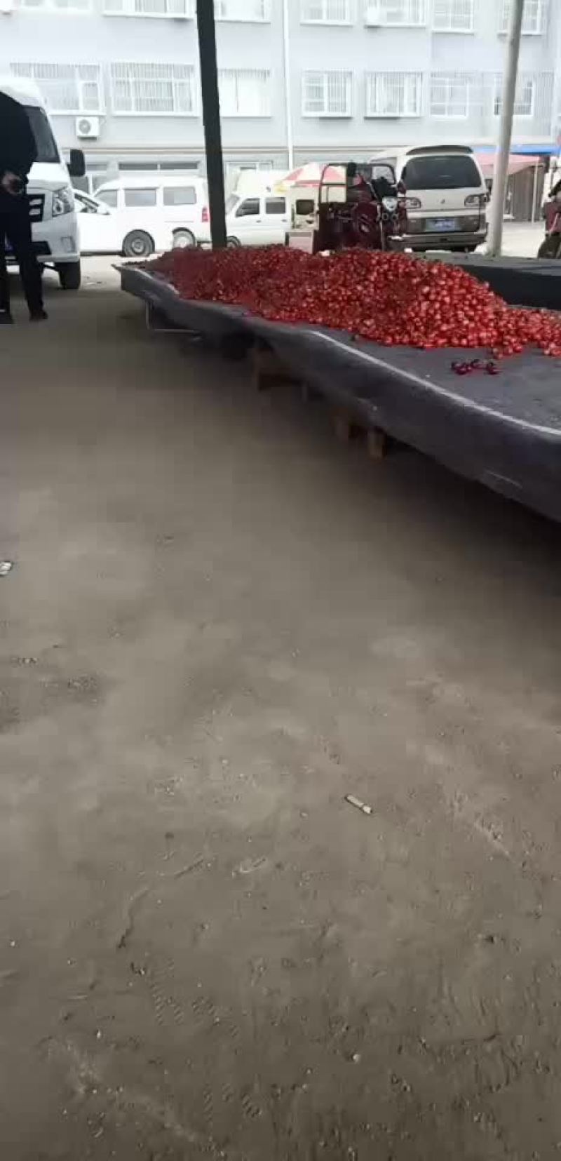 红灯大量上市，