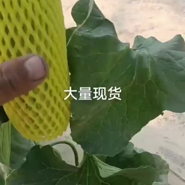 甜瓜