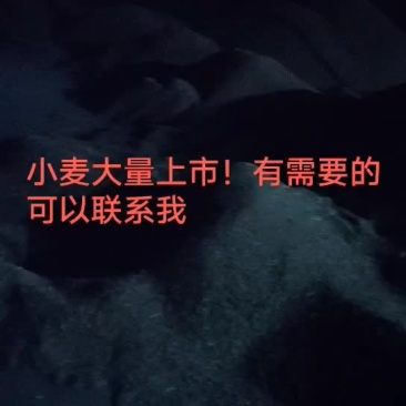 小麦