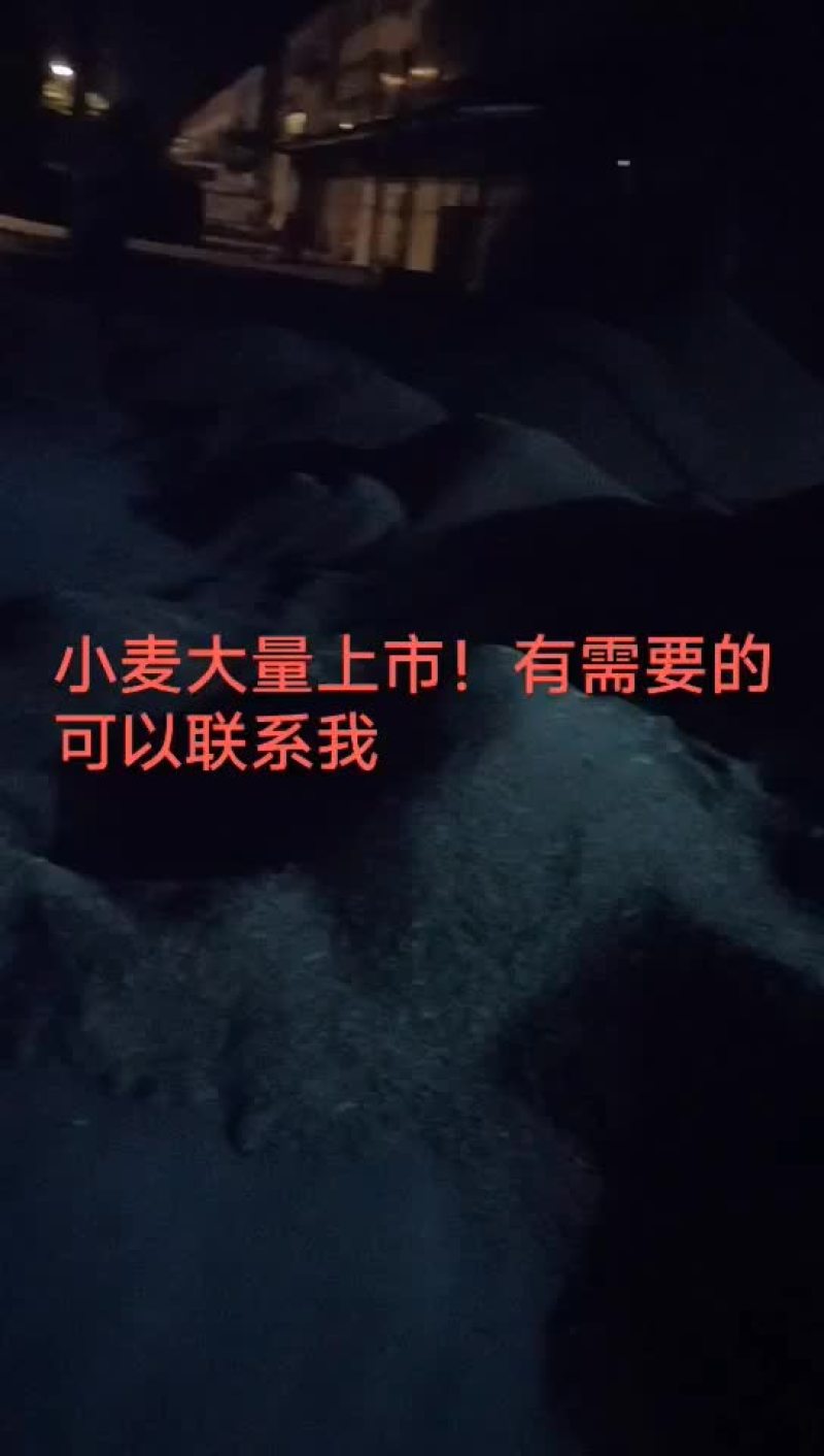 小麦