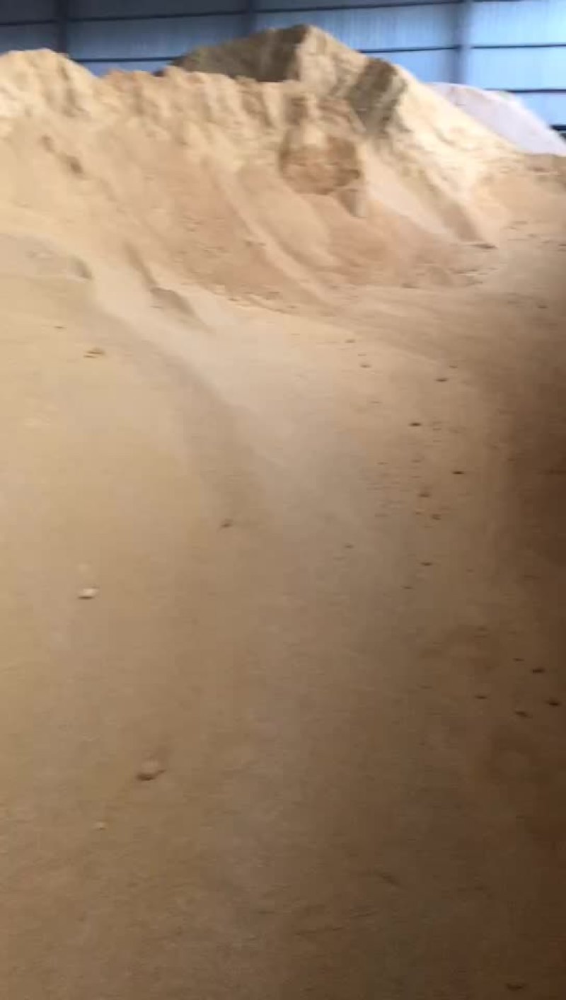 玉米酒糟现货供应，指标稳定