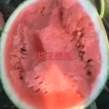 西瓜