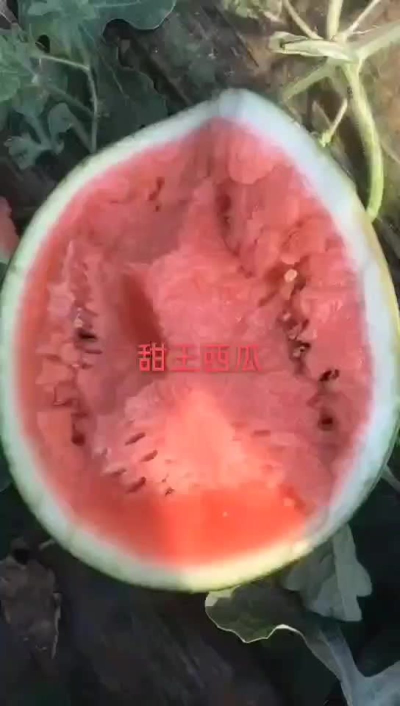西瓜
