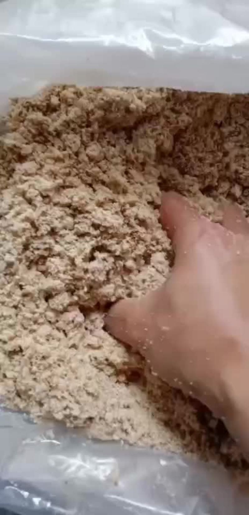 专业发酵料，厂在惠州，欢迎各位老板到厂指导