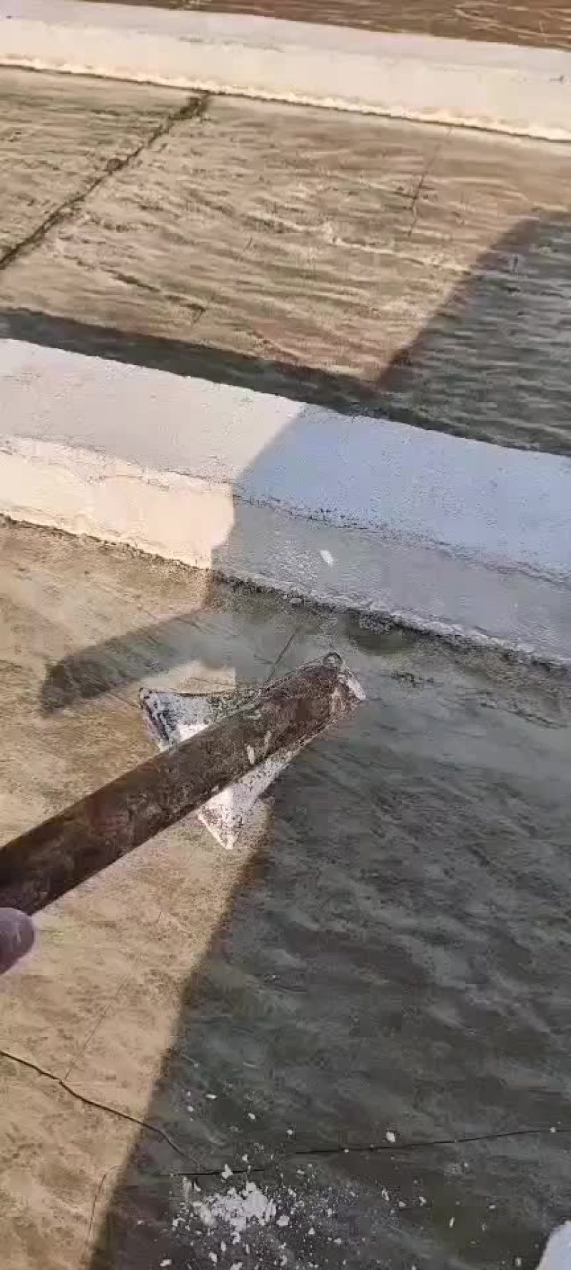 红薯淀粉，当地不给晾晒低价处理