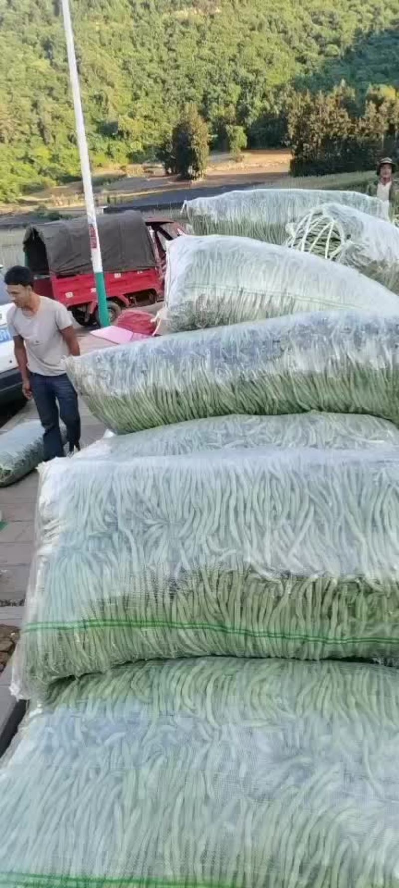 云南红河