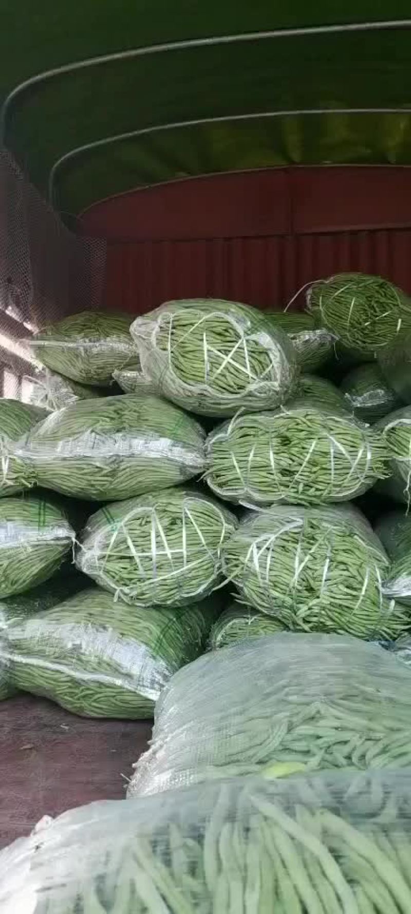 云南红河