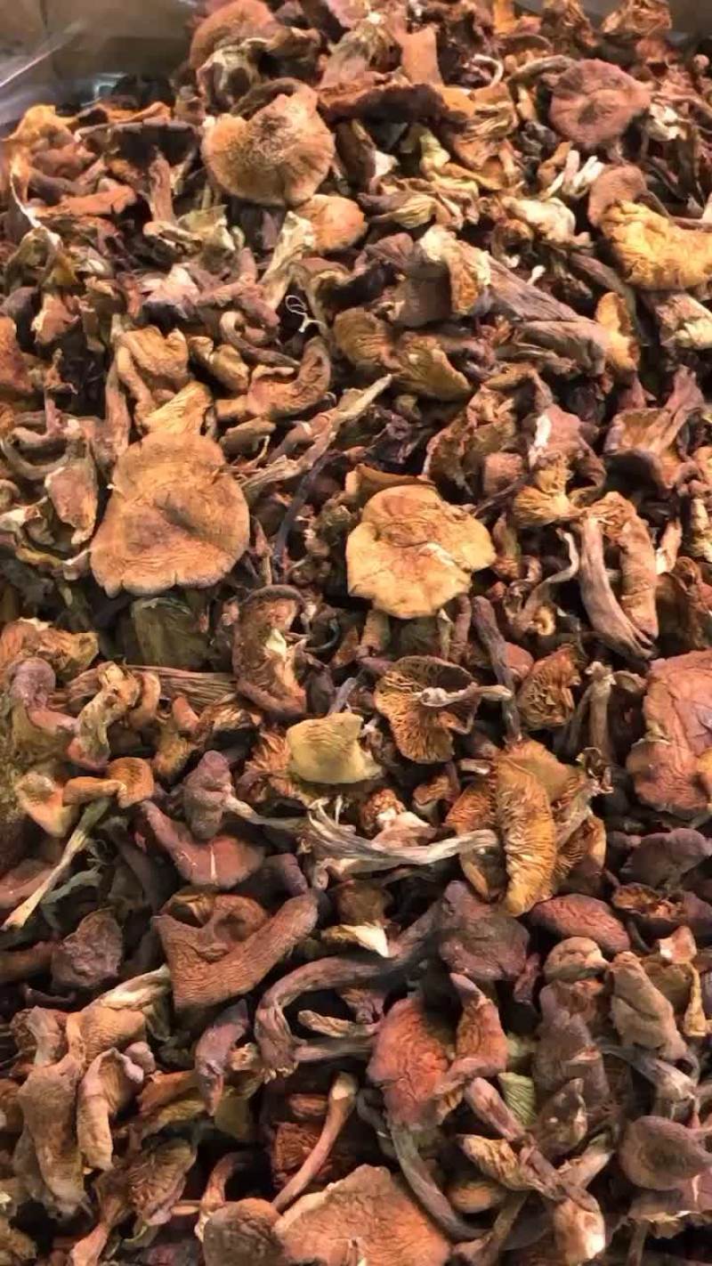 榛蘑，价格合理