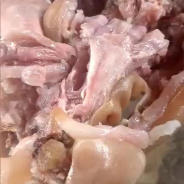火烧毛熟去骨牛蹄，实图拍摄，干净卫生，厂家直销