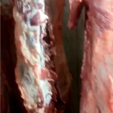 纯干鲜牛肉四分体，瘦度高，少油