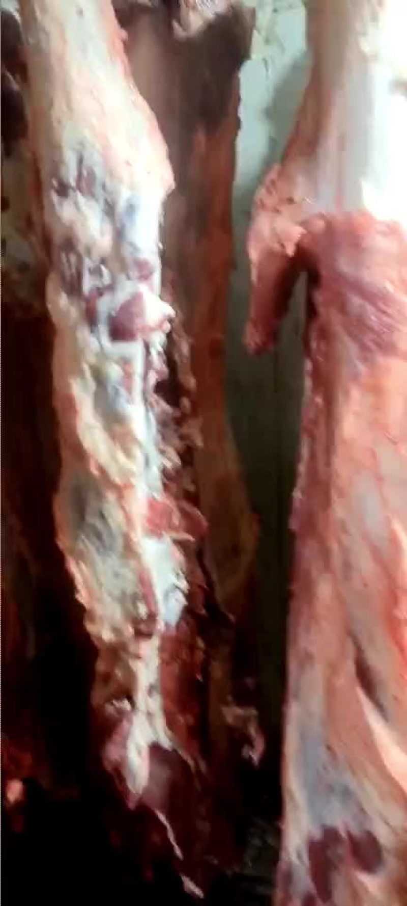 纯干鲜牛肉四分体，瘦度高，少油