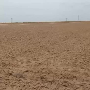 沙地陕西省定边县沙土地