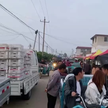 樱桃