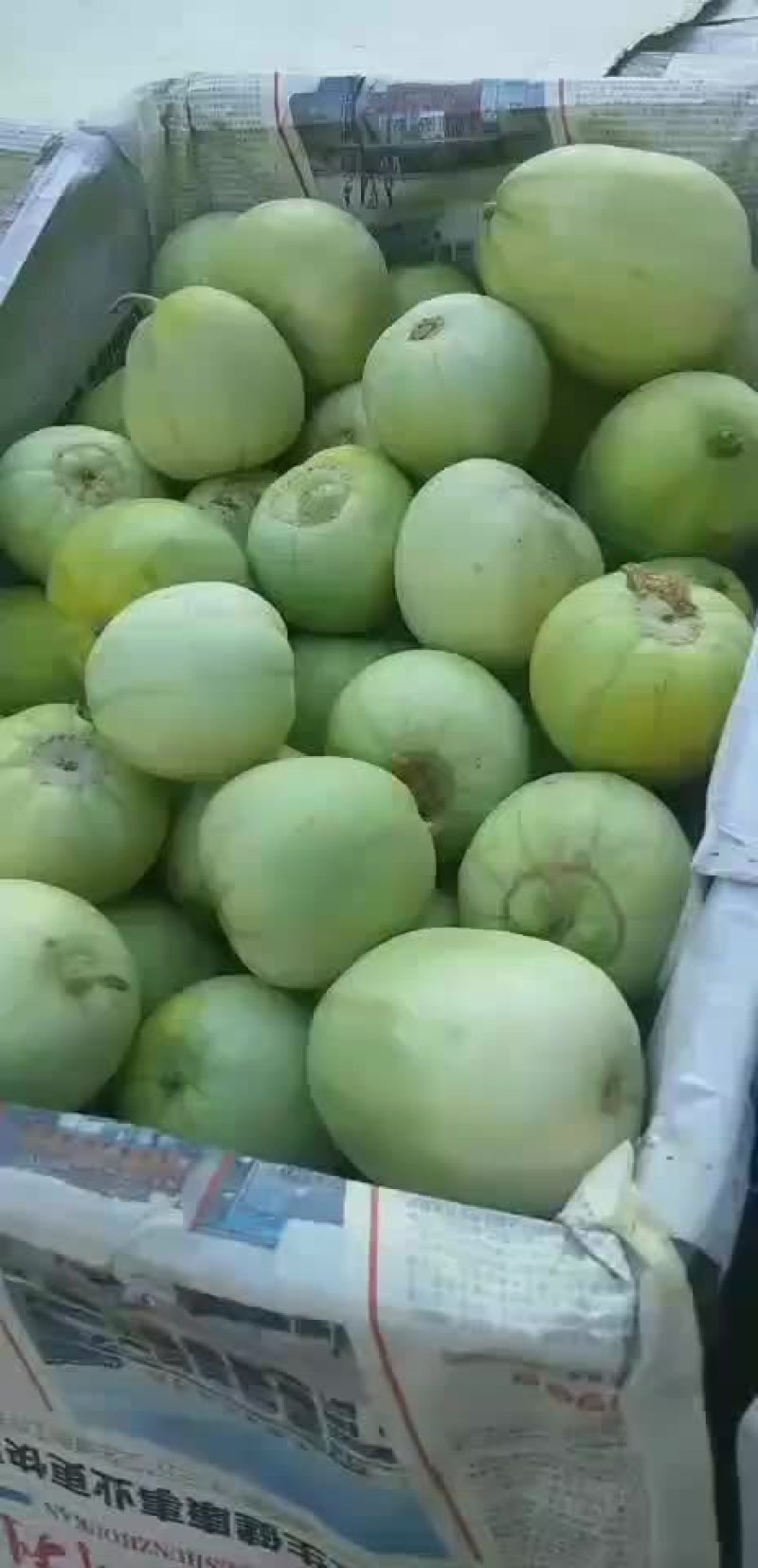 香瓜