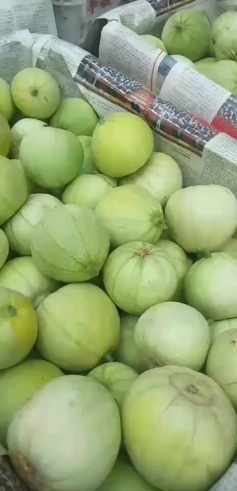 香瓜