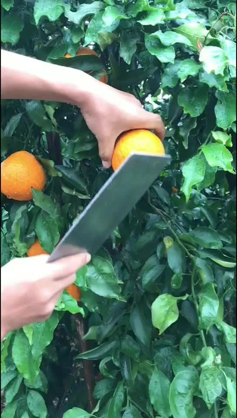 青