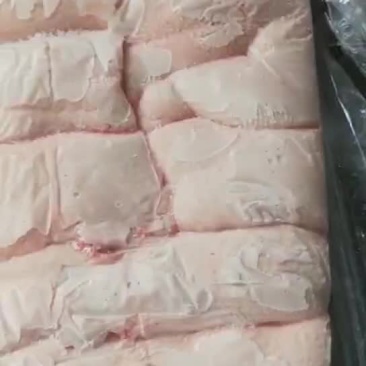 肥猪精修去皮槽头