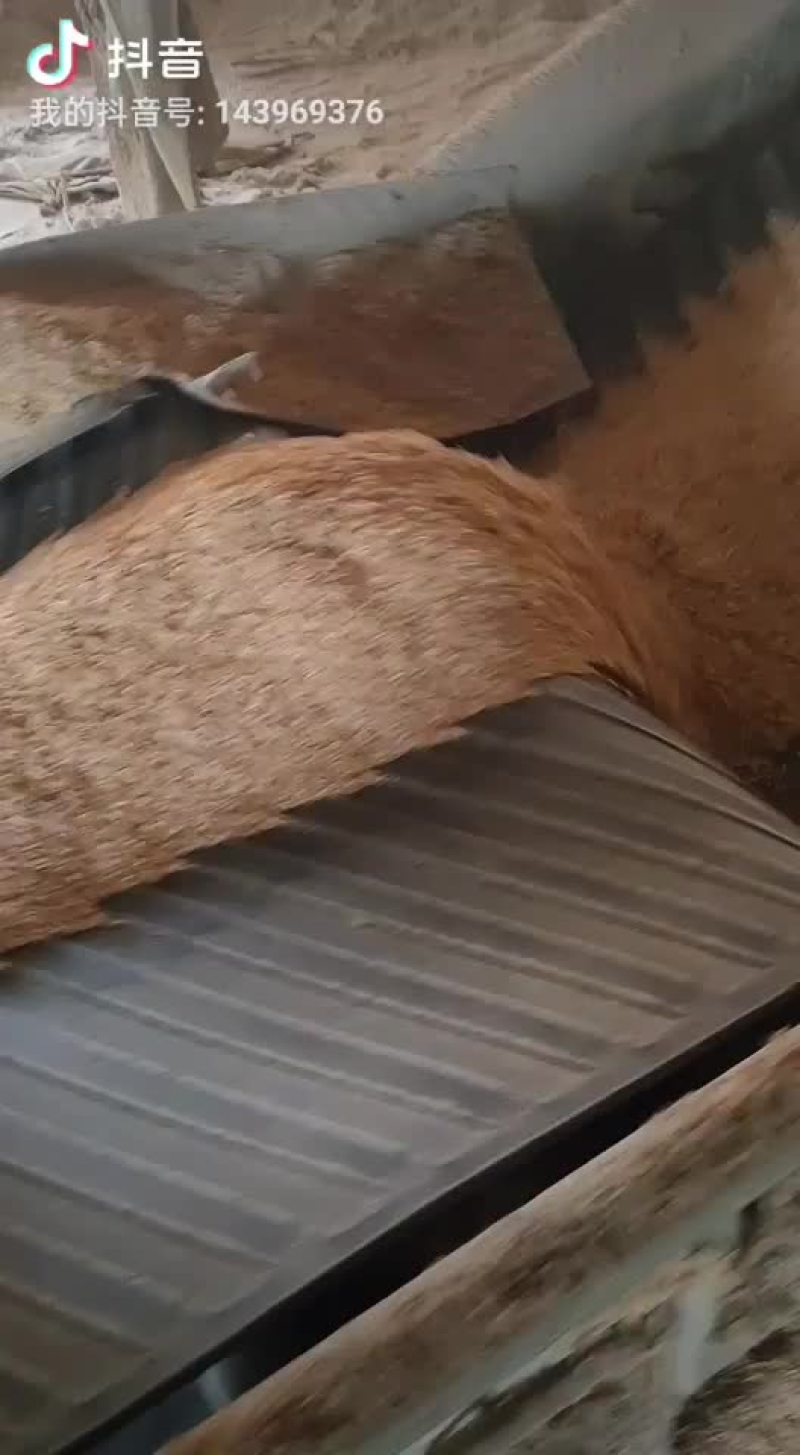 稻壳