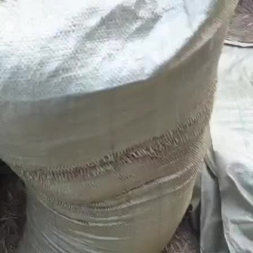 稻壳