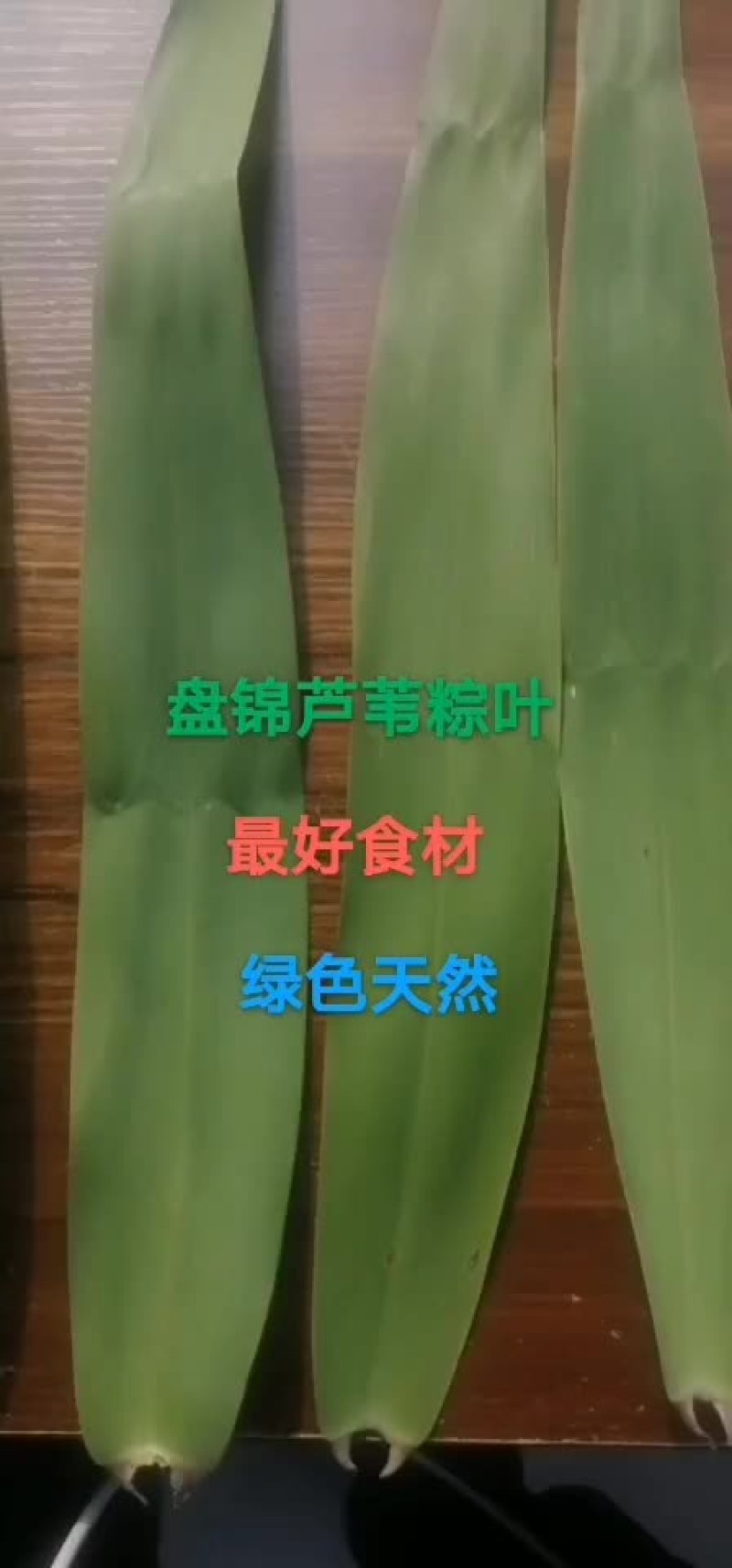 盘锦芦苇粽叶苇叶