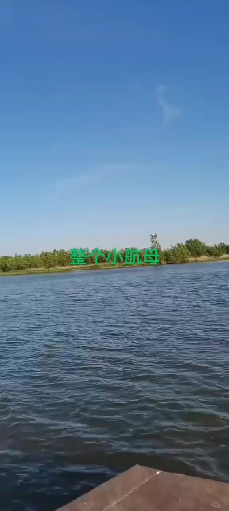 盘锦芦苇粽叶苇叶