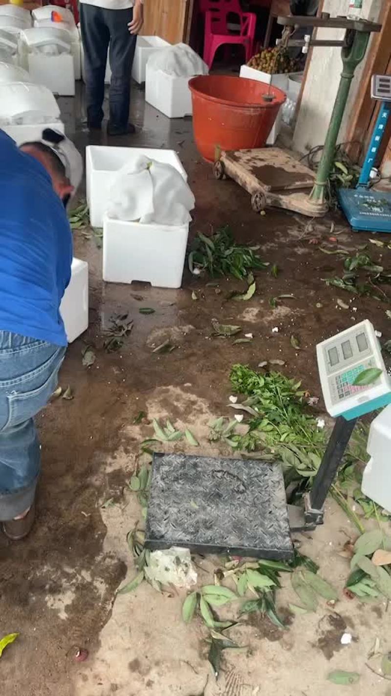 大量出售泡沫箱