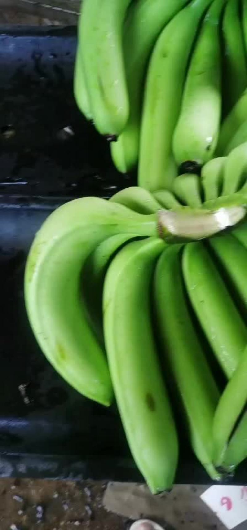 纯3把大把香蕉