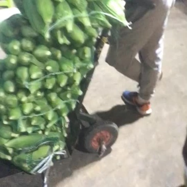 玉米