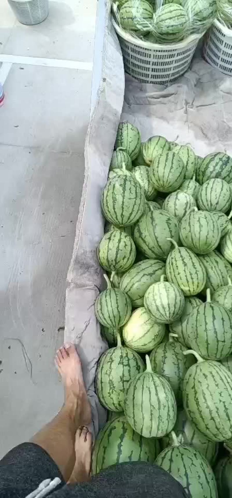 杭州萧山小西瓜