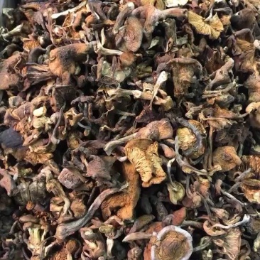 榛蘑，质量可以，不碎，25斤一箱，价格合理52元