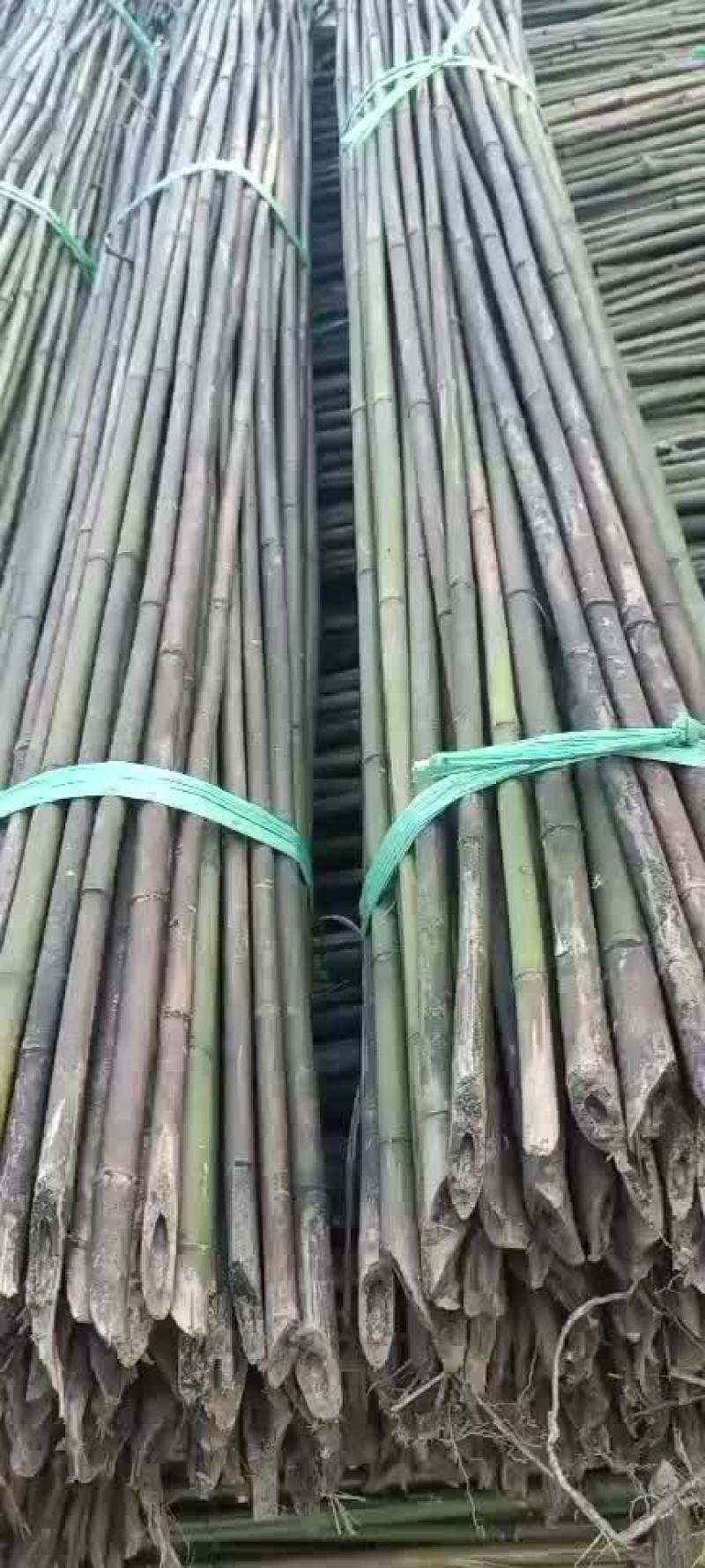 大量苦竹有售