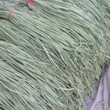 长豆角