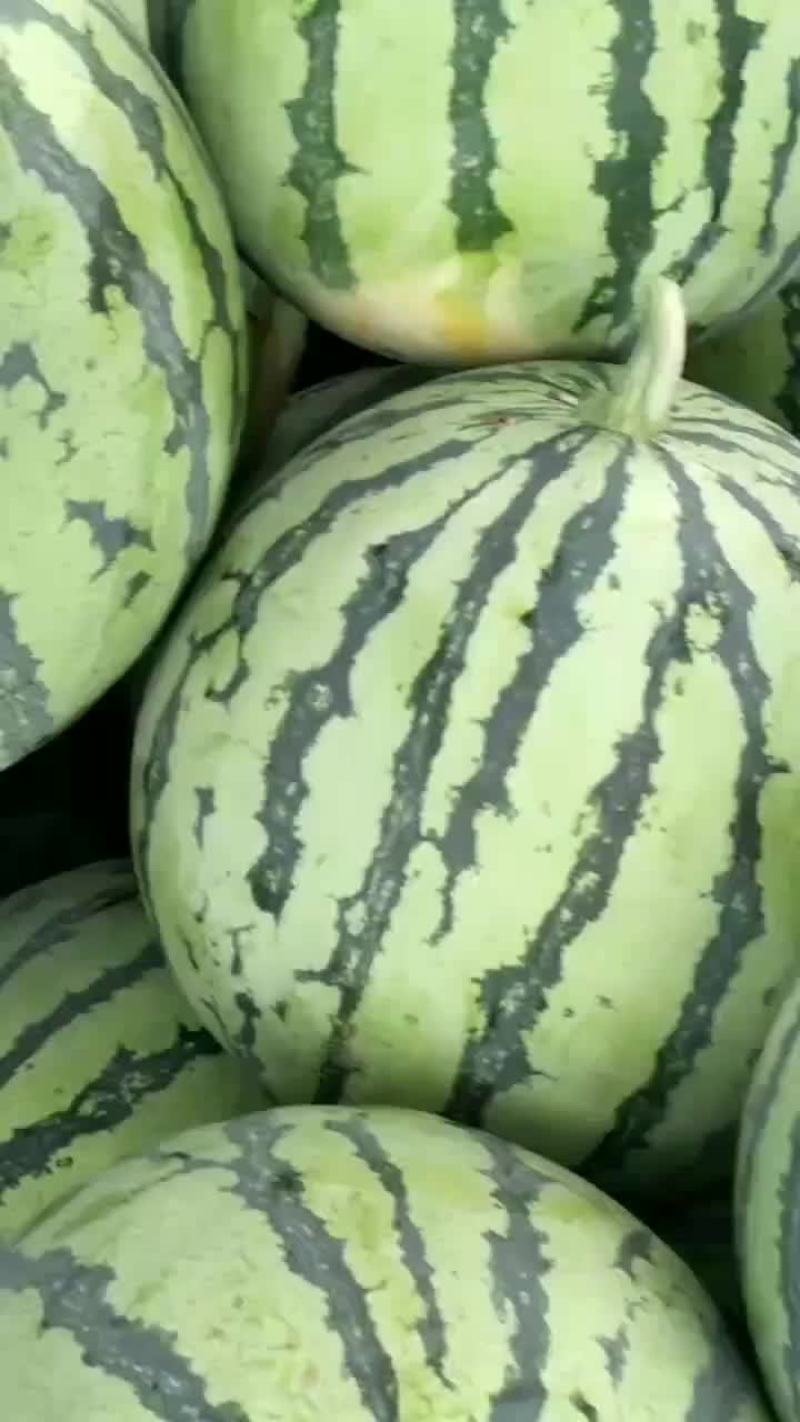 杭州湾新区西瓜大量上市，价格优惠，质量三包。