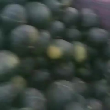 工厂代购大量南瓜，大量上市，代购河北饶阳