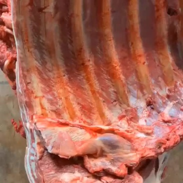 新鲜驴排